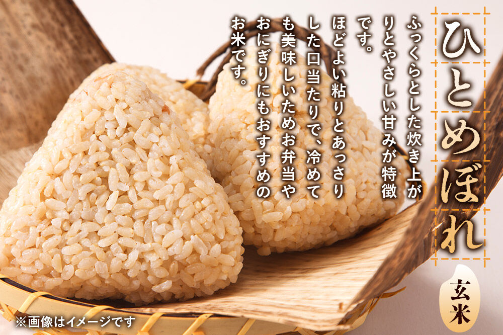 《令和8年産 新米受付》《定期便8ヶ月》【玄米】極上秋田銘柄米 ひとめぼれ 5kg [米 お米 こめ 玄米 ひとめぼれ ブランド米 銘柄米 食卓 おにぎり 秋田県産 秋田県 由利本荘市]
