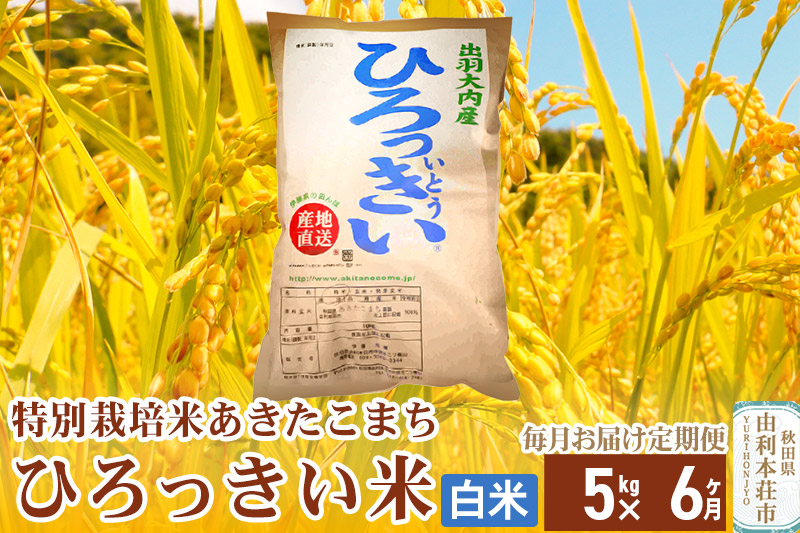 《定期便6ヶ月》【新米予約】【白米】 秋田県産 あきたこまち 5kg 令和6年産 特別栽培米 ひろっきい米