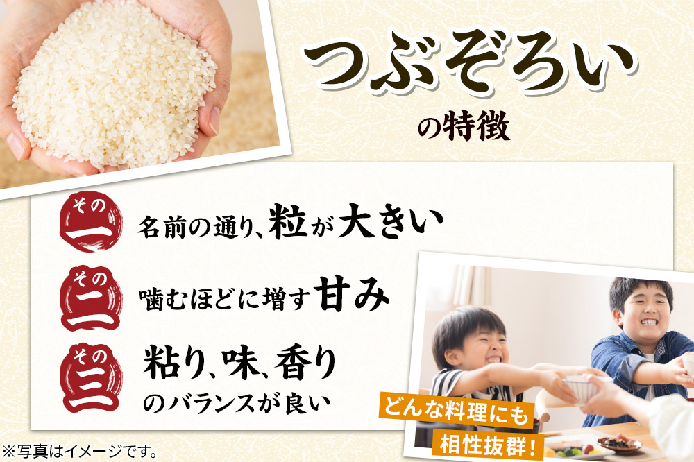 【白米】秋田県由利本荘市産 つぶぞろい 5kg 令和7年産