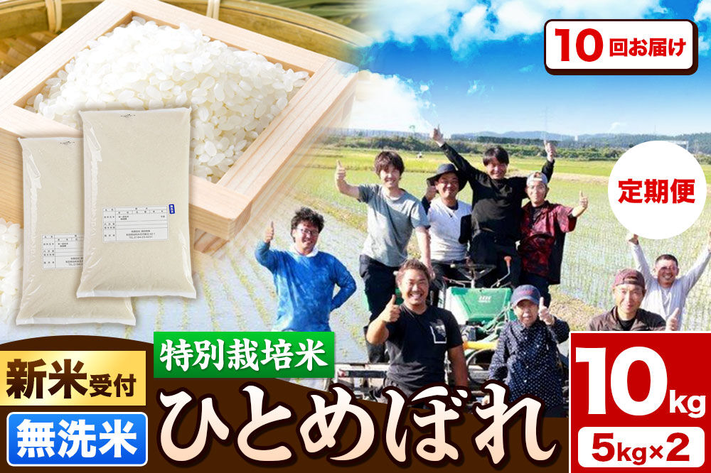 《新米予約》《定期便10ヶ月》令和8年産【無洗米】特別栽培米 ひとめぼれ 10kg（5kg×2袋）秋田県産 [ひとめぼれ 米 お米 白米 精米 無洗米 特別栽培米 ブランド米 食卓 秋田県産 秋田県 由利本荘市]