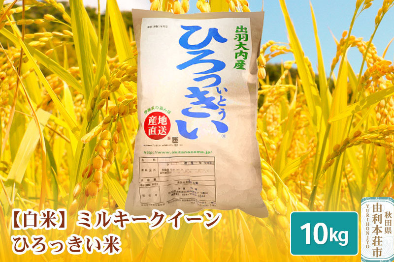 【白米】 秋田県産 ミルキークイーン 10kg 令和6年産 ひろっきい米