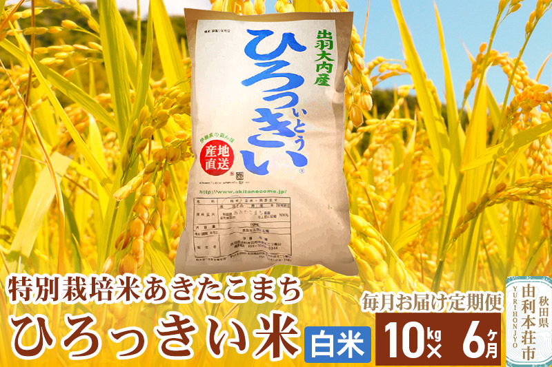 《定期便6ヶ月》【新米予約】【白米】 秋田県産 あきたこまち 10kg  令和6年産 特別栽培米 ひろっきい米