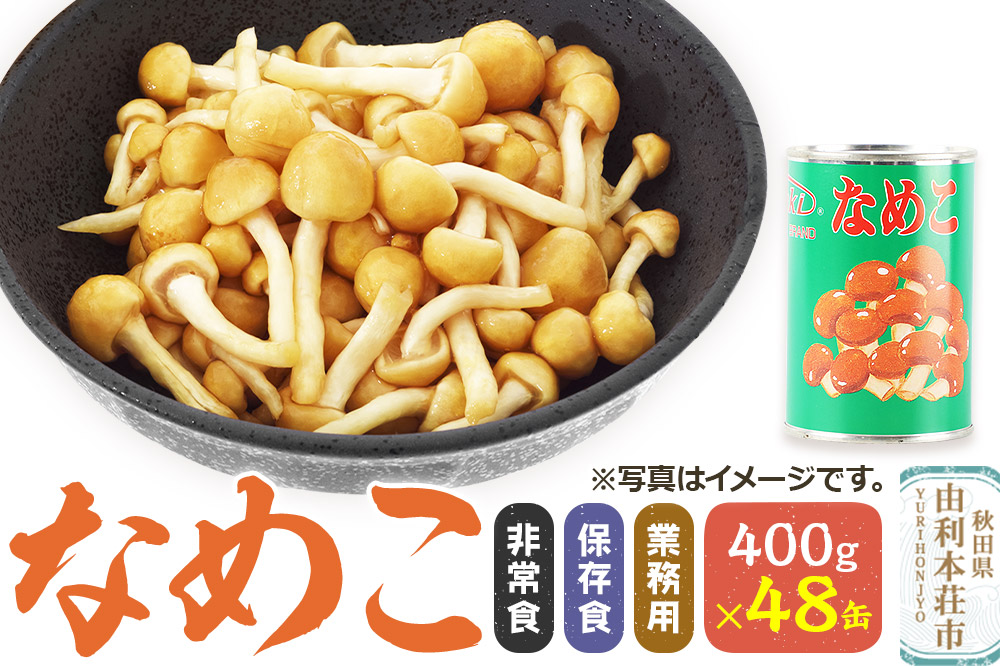 なめこ 400g(固形量200g)×48缶 缶詰 国産 非常食 保存食 業務用