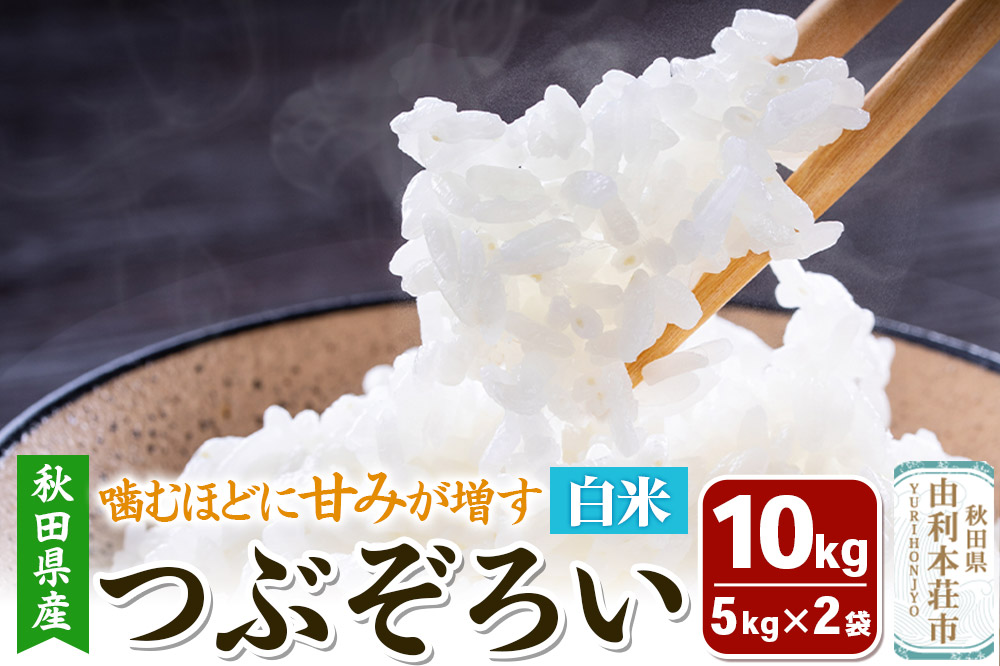 【白米】秋田県由利本荘市産 つぶぞろい 10kg（5kg×2袋）令和7年産