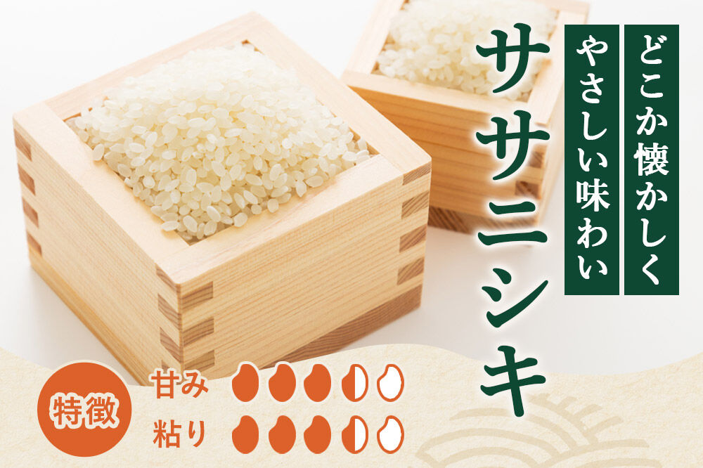《定期便4ヶ月》令和7年産【無洗米】特別栽培米 ササニシキ 10kg（5kg×2袋）秋田県産 [ササニシキ 米 お米 白米 精米 無洗米 特別栽培米 ブランド米 食卓 秋田県産 秋田県 由利本荘市]