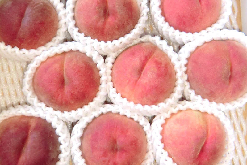 茂木農園 秋田県産 手作りジャムセットA 合計750g（りんご・桃・洋梨 各250g） [国産果物 手作り ジャム パン ジャムティー ヨーグルト フルーツジャム 手造り 詰合せ お取り寄せ]