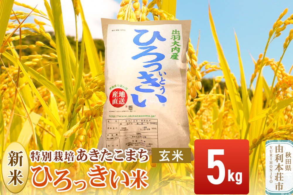 【玄米】 秋田県産 あきたこまち 5kg 令和7年産 特別栽培米 ひろっきい米
