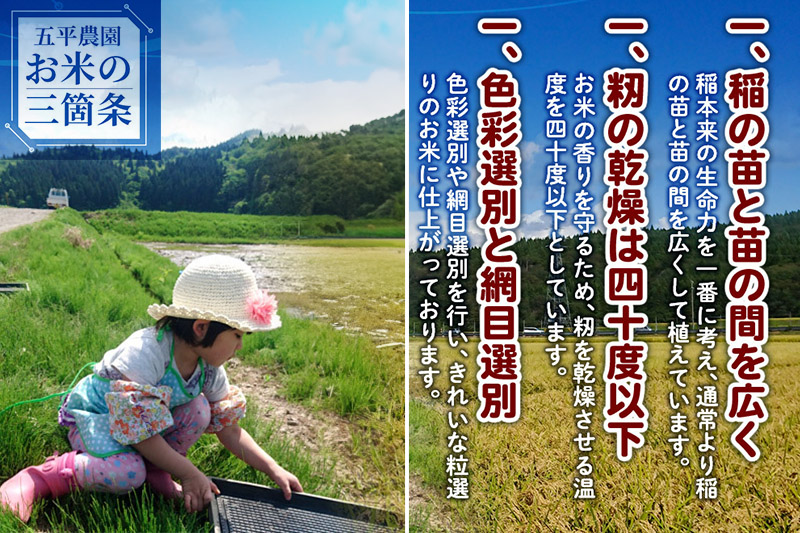 《新米予約》《12月頃より順次発送予定》【玄米】コシヒカリ 秋田県産 五平農園のコシヒカリ 10kg