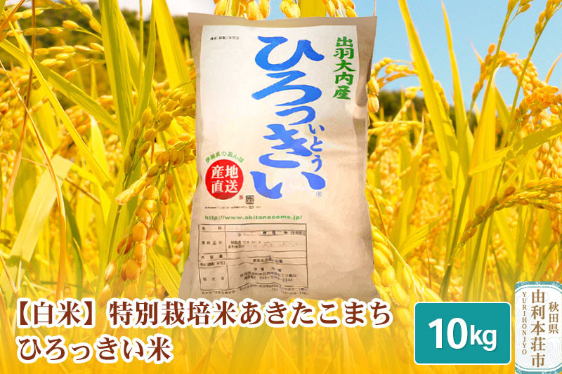 【白米】 秋田県産 あきたこまち 10kg  令和6年産 特別栽培米 ひろっきい米