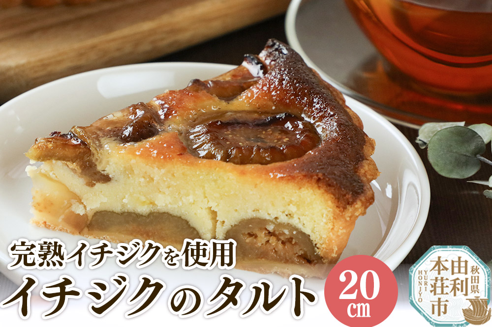 イチジクのタルト 20cm（800g）