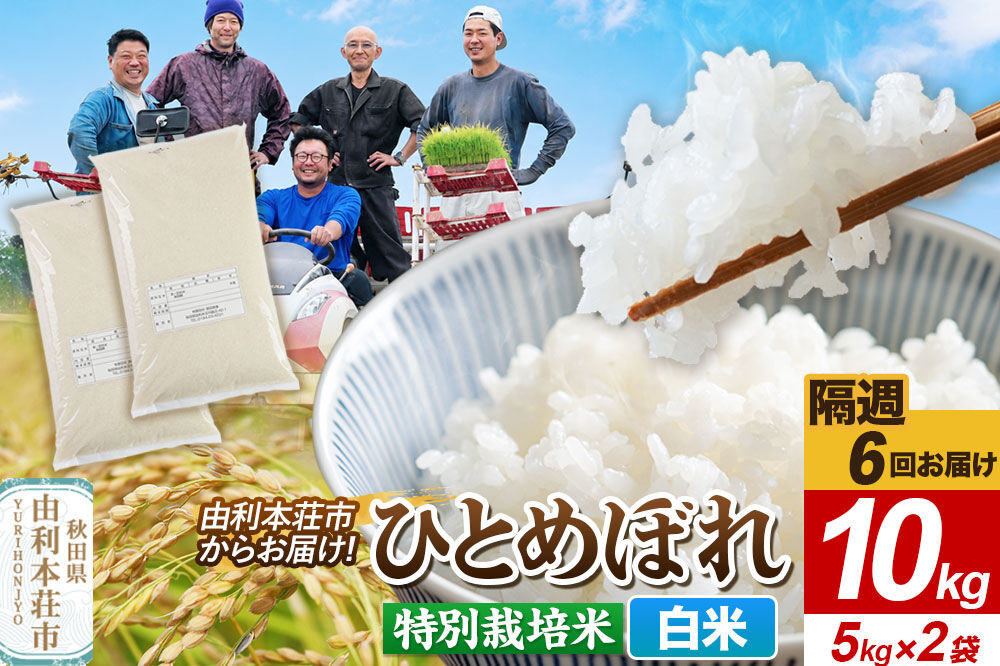 《2週間毎お届け》【定期便6回】令和8年産 新米受付【白米】ひとめぼれ 10kg（5kg×2袋）特別栽培米   秋田県産 [ひとめぼれ 新米予約 米 お米 白米 精米 特別栽培米 ブランド米 食卓 おにぎり 秋田県産 秋田]