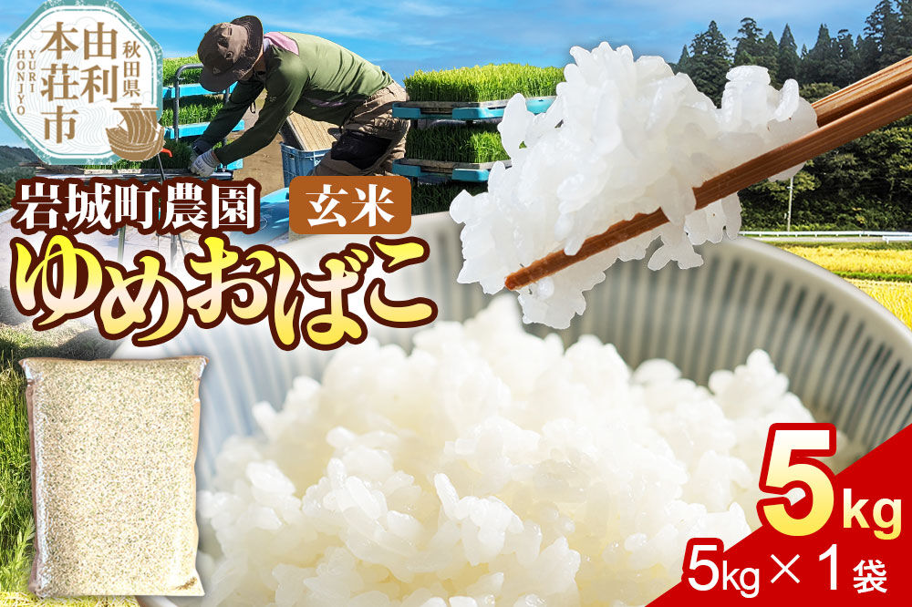 【玄米】ゆめおばこ 秋田県産 岩城町農園のゆめおばこ 5kg（5kg×1袋）令和7年産 真空パック [ゆめおばこ 米 お米 こめ 玄米 食卓 ご飯 ごはん おにぎり 秋田県 由利本荘市]