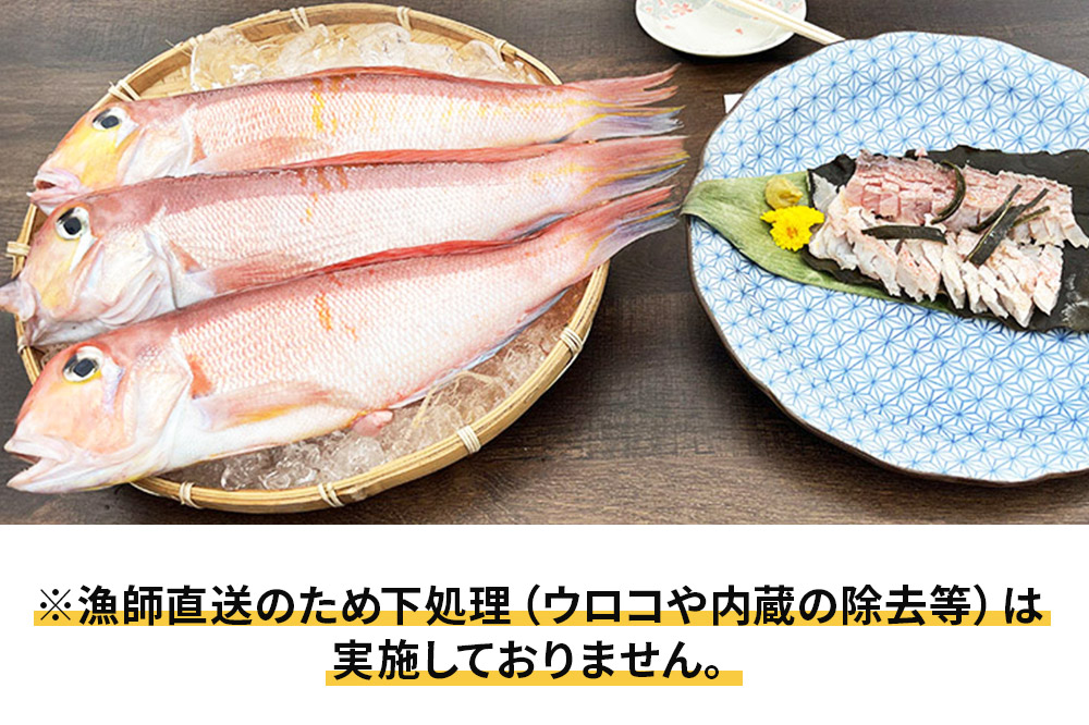 《予約受付》漁師直送 甘鯛（あまだい）2kg＋おまかせ鮮魚 秋田県産【下処理なし】