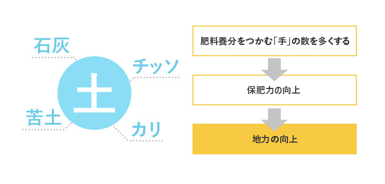 【白米】 1回のみ配送 10kg 令和6年産  あきたこまち 土作り実証米 秋田県産