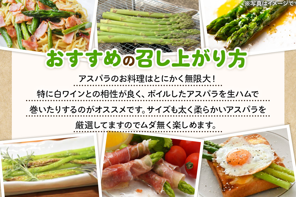 《先行受付》アスパラガス 800g 7月上旬〜8月下旬発送  [アスパラガス アスパラ 自社農園 栽培 鮮度抜群 ハウス栽培 茎まで柔らかい クセのない甘さ 産地直送 産直 素焼き 秋田 由利本荘市 だいち農園]