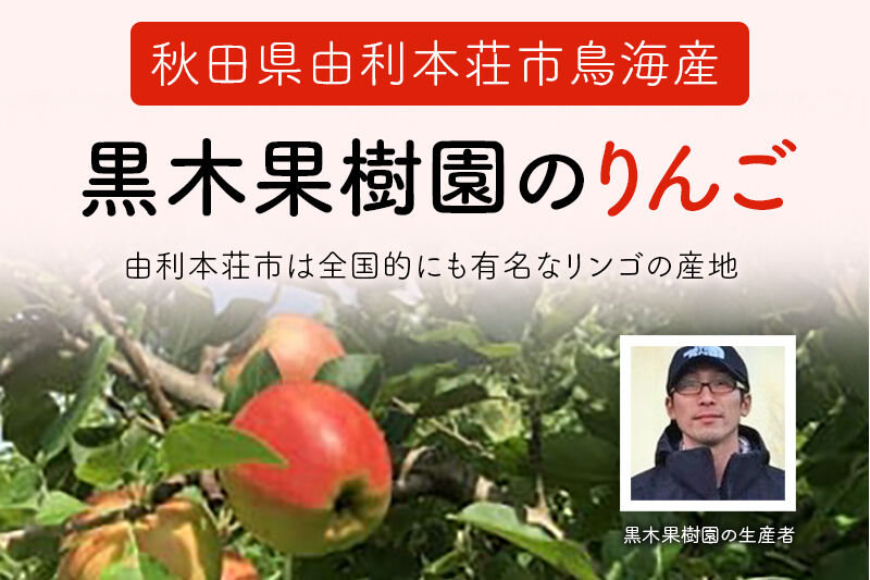 《先行受付》りんご（ふじ）5kg 黒木果樹園のりんご（12月上旬〜1月下旬に発送） [林檎 りんご リンゴ フルーツ 果物 スイーツ 秋田県産 農家直送 由利本荘市 黒木果樹園]