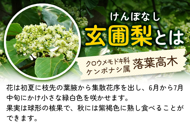 小松養蜂場 はちみつ 秋田県産 100％ 玄圃梨蜂蜜 1kg