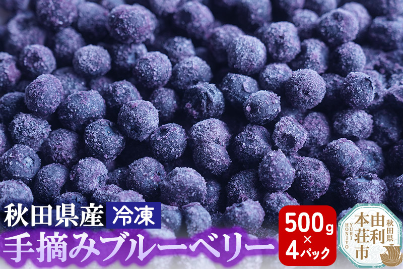 秋田県産 手摘み冷凍ブルーベリー 500g×4パック