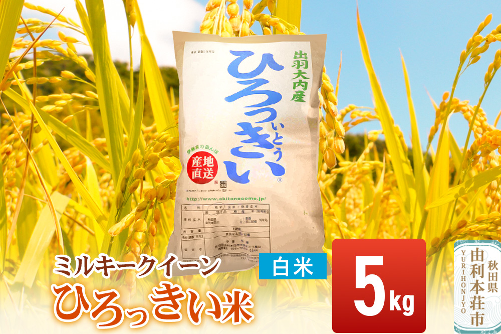 【白米】 秋田県産 ミルキークイーン 5kg  令和7年産 ひろっきい米