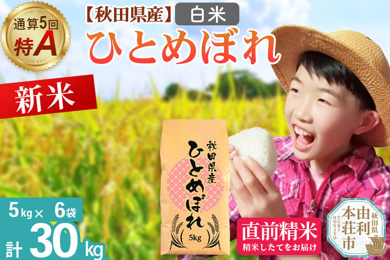 《令和8年産 新米受付》《1回のみお届け》【白米】通算5回特A 秋田県産ひとめぼれ 30kg(5kg×6袋) お米 米 こめ 藤岡農産 [米 白米 特A 精米 秋田県 東北 お米 ひとめぼれ 小袋 小分け 直前精米 おいしい米 おすすめ]