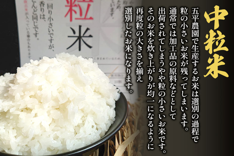 【訳あり】国産ブレンド米 中粒米 10kg