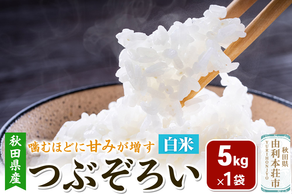 【白米】秋田県由利本荘市産 つぶぞろい 5kg 令和7年産