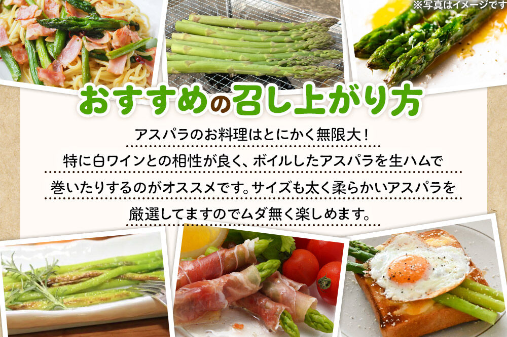 《先行受付》アスパラガス 1kg  4月中旬〜5月下旬発送 秋田県 由利本荘市 [アスパラガス アスパラ 自社農園 栽培 鮮度抜群 ハウス栽培 茎まで柔らかい クセのない甘さ 産地直送 産直 素焼き 秋田 由利本荘市 だいち農園]