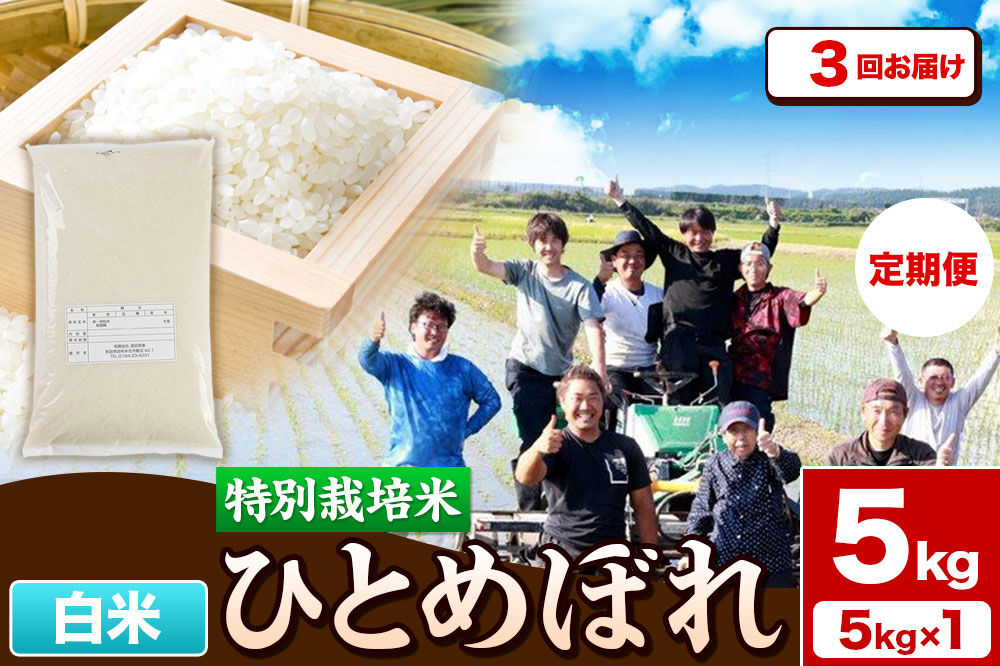《定期便3ヶ月》令和7年産【白米】特別栽培米 ひとめぼれ 5kg 秋田県産 [ひとめぼれ 米 お米 白米 精米 特別栽培米 ブランド米 食卓 秋田県産 秋田県 由利本荘市]