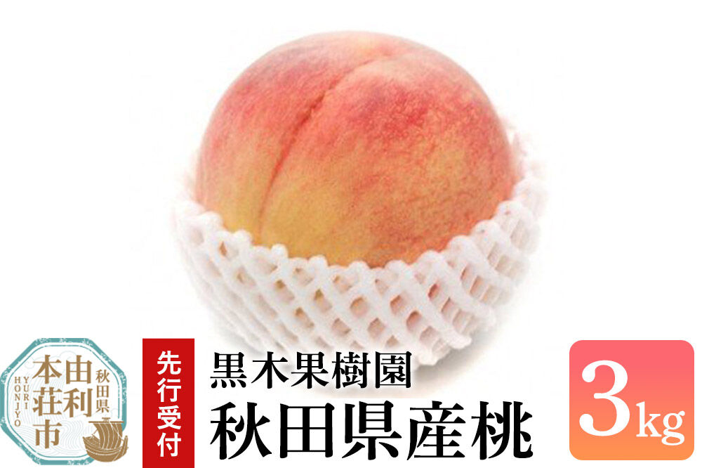 《先行受付》【数量限定】桃 3kg 黒木果樹園の桃 秋田県産（8月上旬から9月上旬に発送） [数量限定 桃 もも モモ 果物 フルーツ 新鮮 フレッシュ スイーツ デザート 秋田県産 由利本荘市 黒木果樹園]