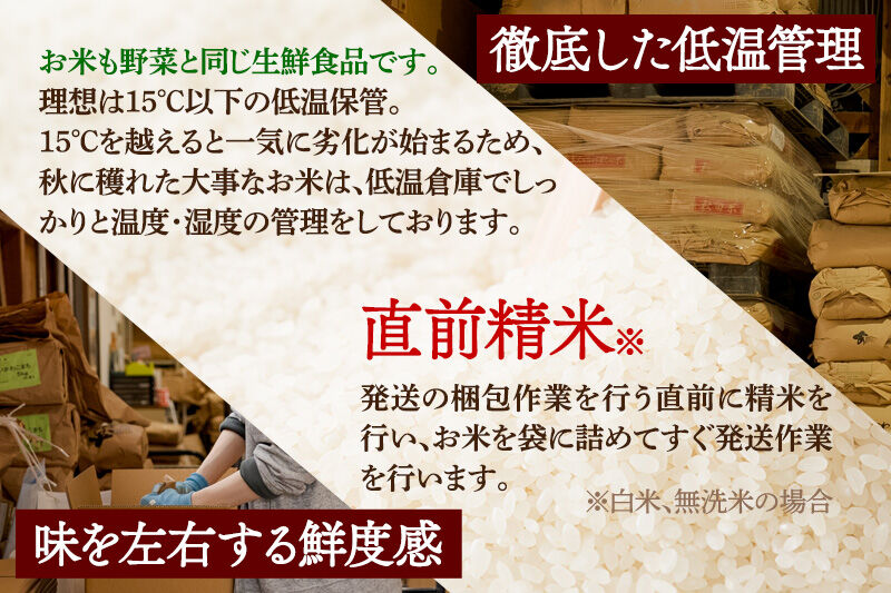 《令和8年産 新米受付》《定期便8ヶ月》【白米】通算5回特A 秋田県産ひとめぼれ 30kg(5kg×6袋)×8回 お届け周期調整 隔月に調整OK 開始時期選べる お米 米 こめ 藤岡農産 [新米 米 白米 特A 精米 秋田県 東北 お米 ひとめぼれ 小袋 小分け 直前精米 おいしい米 開始時期選べる お届け周期 選べる 藤岡農産]