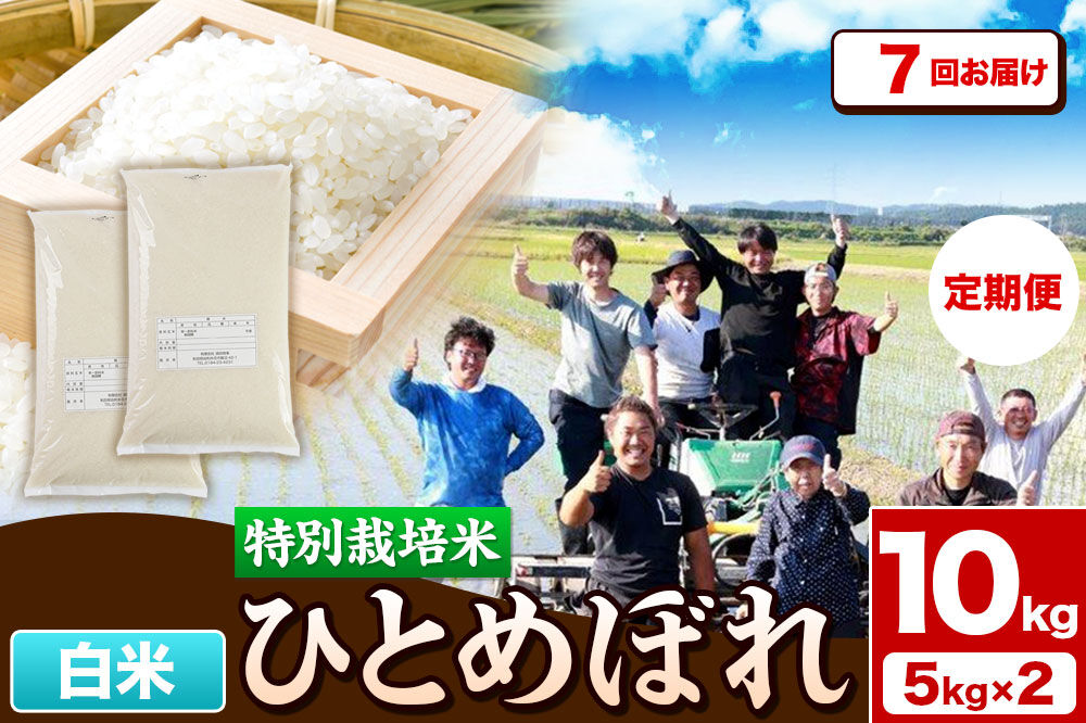 《定期便7ヶ月》令和7年産【白米】特別栽培米 ひとめぼれ 10kg（5kg×2袋）秋田県産 [ひとめぼれ 米 お米 白米 精米 特別栽培米 ブランド米 食卓 秋田県産 秋田県 由利本荘市]