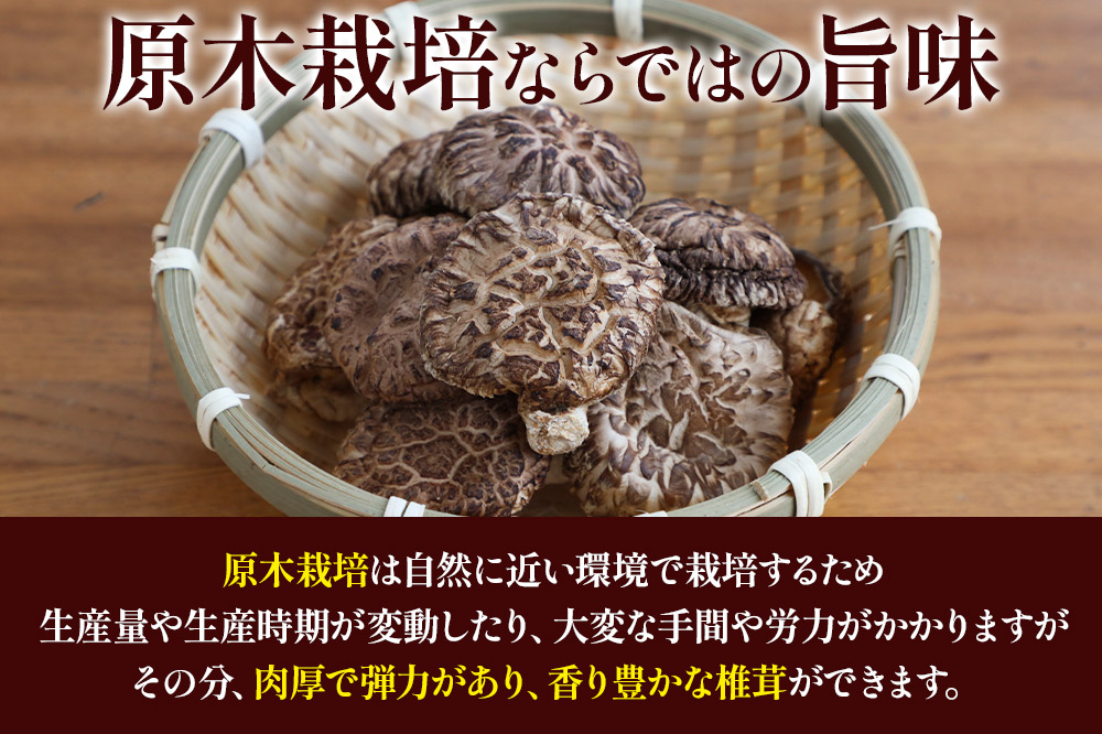 原木栽培 干ししいたけ【どんこ】30g×3袋 [しいたけ 干ししいたけ 椎茸 シイタケ どんこ 原木栽培 自然 肉厚 弾力 香り豊か 秋田県 由利本荘市]
