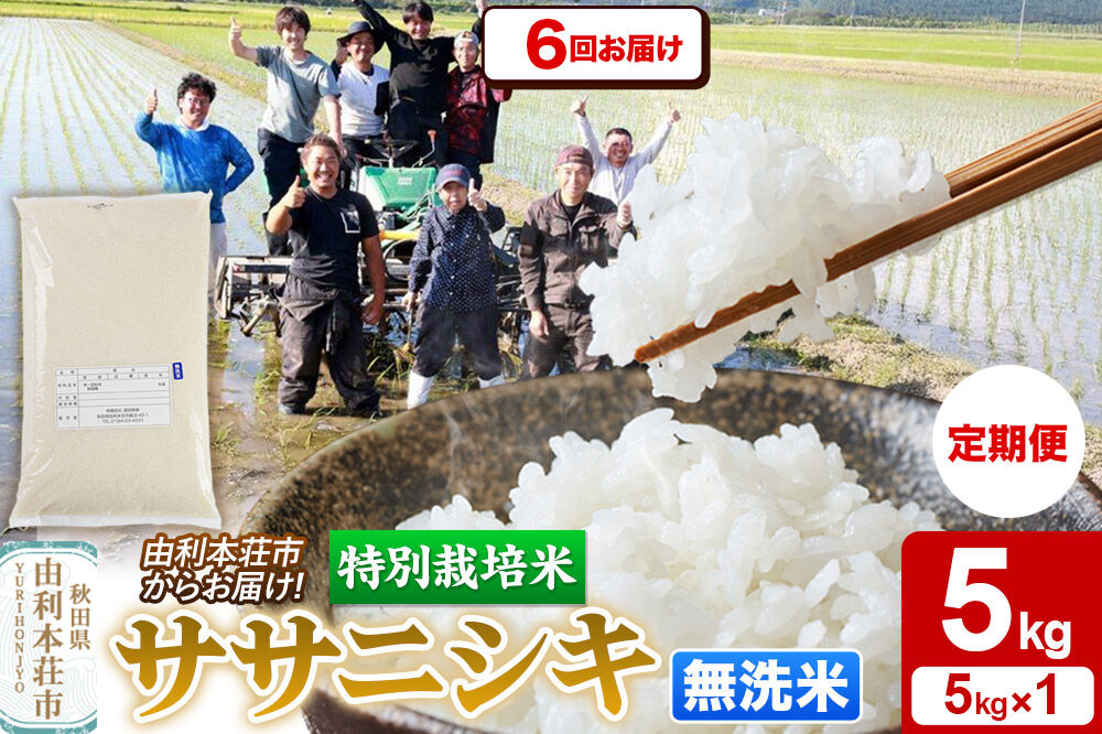 《定期便6ヶ月》令和7年産【無洗米】特別栽培米 ササニシキ 5kg 秋田県産 [ササニシキ 米 お米 白米 精米 無洗米 特別栽培米 ブランド米 食卓 秋田県産 秋田県 由利本荘市]