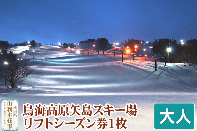 鳥海高原矢島スキー場 リフトシーズン券 大人1枚