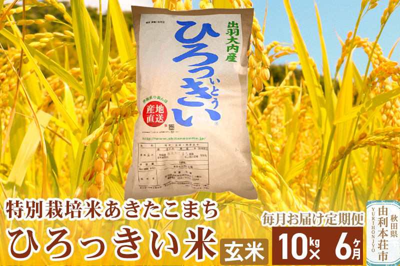 《定期便6ヶ月》【新米予約】【玄米】 秋田県産 あきたこまち 10kg 令和6年産 特別栽培米 ひろっきい米