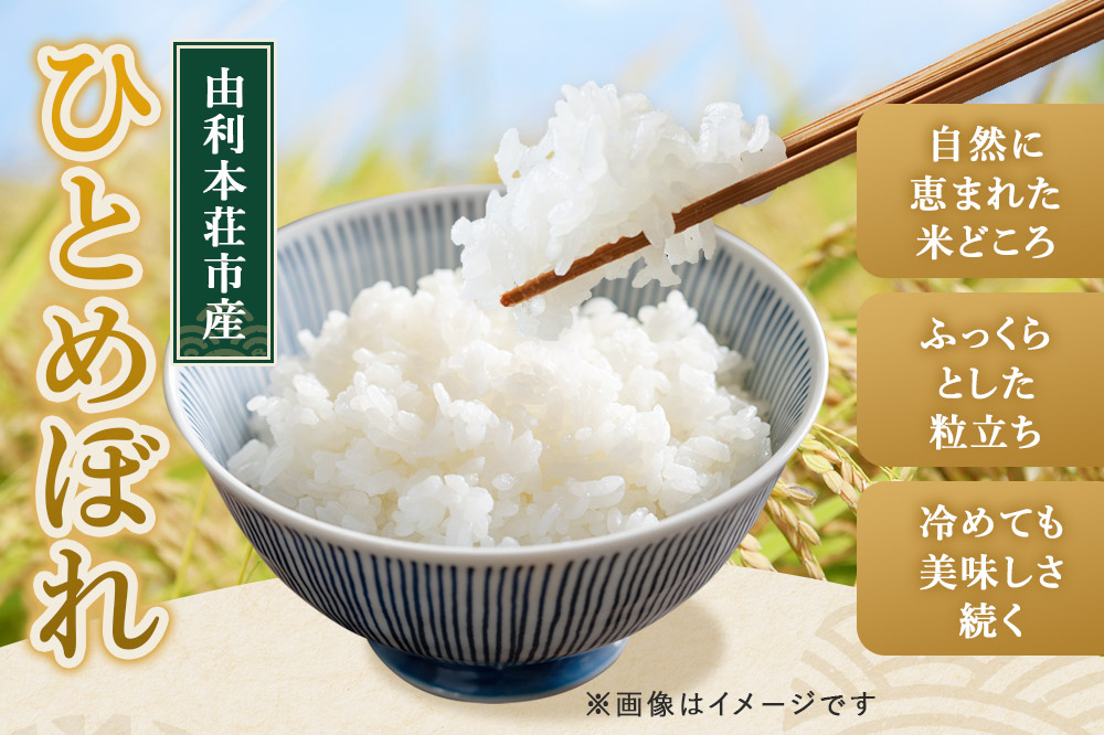 《定期便6ヶ月》令和7年産【無洗米】特別栽培米 ひとめぼれ 10kg（5kg×2袋）秋田県産 お米 米 こめ