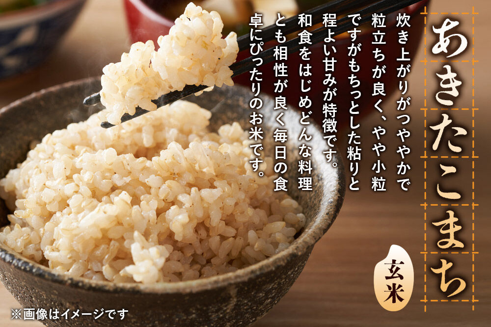 《令和8年産 新米受付》《定期便6ヶ月》【玄米】極上秋田銘柄米 あきたこまち 5kg [米 お米 こめ 玄米 あきたこまち ブランド米 銘柄米 食卓 おにぎり 秋田県産 秋田県 由利本荘市]