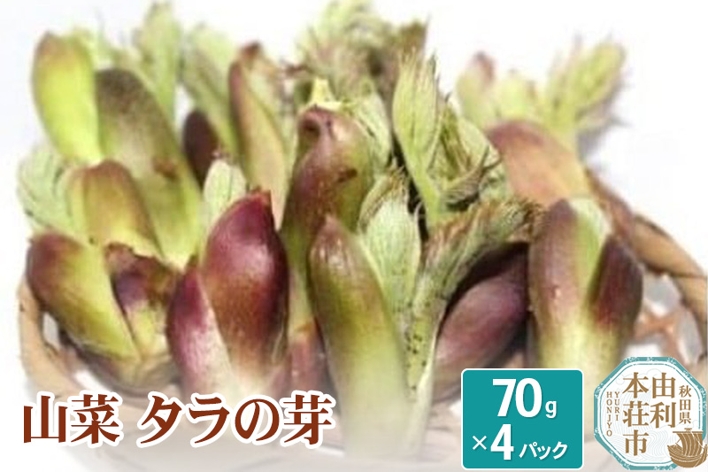 山菜 タラの芽 70g×4パック 天然 （発送は4月〜5月頃）