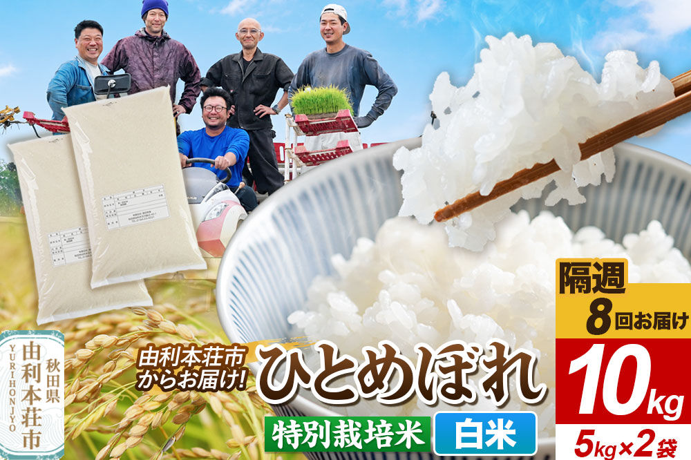 《2週間毎お届け》【定期便8回】令和8年産 新米受付【白米】ひとめぼれ 10kg（5kg×2袋）特別栽培米   秋田県産 [ひとめぼれ 新米予約 米 お米 白米 精米 特別栽培米 ブランド米 食卓 おにぎり 秋田県産 秋田]