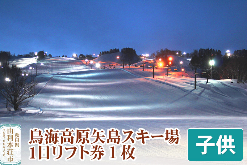 鳥海高原矢島スキー場 リフト1日券 子供(中学生以下) 1枚