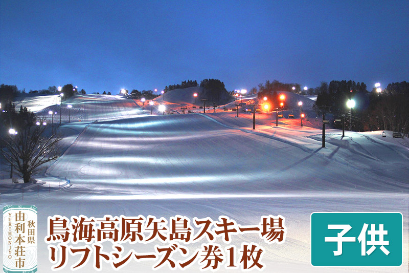 鳥海高原矢島スキー場 リフトシーズン券 子供(中学生以下)1枚