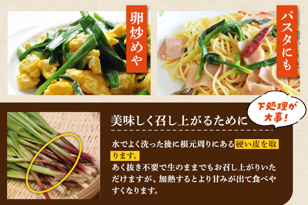 《先行受付》行者ニンニク 約500g [山菜 行者にんにく 自然栽培 野菜 天然 天然山菜 国産 先行予約 秋田熊の子山菜便 秋田県産]