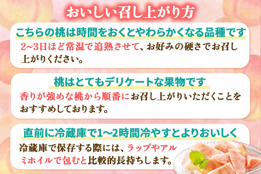 《予約受付》茂木農園 秋田県産 桃 2.5kg