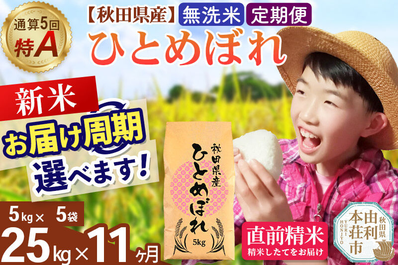 《令和8年産 新米受付》《定期便11ヶ月》【無洗米】通算5回特A 秋田県産ひとめぼれ 25kg(5kg×5袋)×11回  お届け周期調整 隔月に調整OK [米 無洗米 白米 特A 精米 秋田県 東北 お米 ひとめぼれ 小袋 小分け 直前精米 おいしい米 おすすめ]