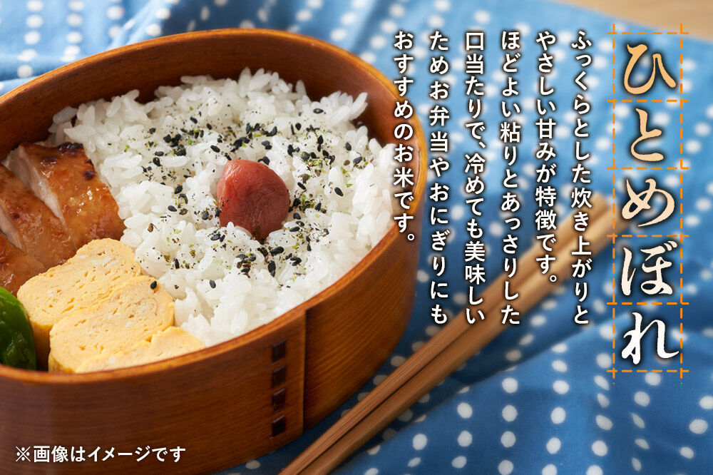 《令和8年産 新米受付》《定期便12ヶ月》【白米】極上秋田銘柄米 ひとめぼれ 5kg [新米受付 米 お米 こめ 白米 精米 ひとめぼれ ブランド米 銘柄米 食卓 おにぎり 秋田県産 秋田県 由利本荘市]