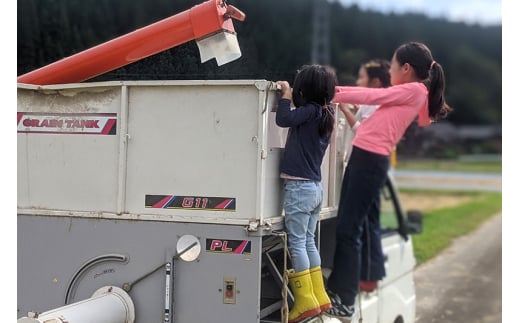 【白米】秋田県由利本荘市産 ササニシキ 15kg(5kg×3袋) 令和7年産 真空パック 岩城町農園