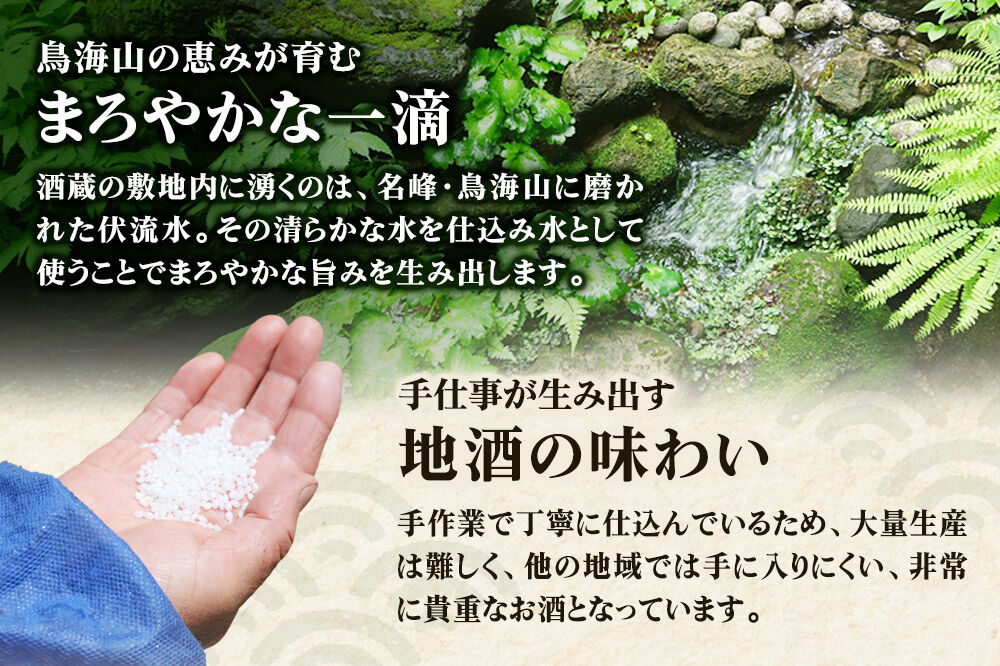 佐藤酒造店 日本酒 出羽の冨士 純米吟醸 Riquisimo［リキシモ］ 720ml×1本 [日本酒 お酒 酒 純米吟醸 美山錦 秋田]