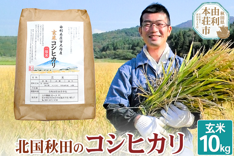 【玄米】コシヒカリ 令和6年産 秋田県産 北国秋田のコシヒカリ 10kg