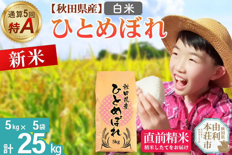 《令和8年産 新米受付》《1回のみお届け》【白米】通算5回特A 秋田県産ひとめぼれ 25kg(5kg×5袋) お米 米 こめ 藤岡農産 [米 白米 特A 精米 秋田県 東北 お米 ひとめぼれ 小袋 小分け 直前精米 おいしい米 おすすめ]