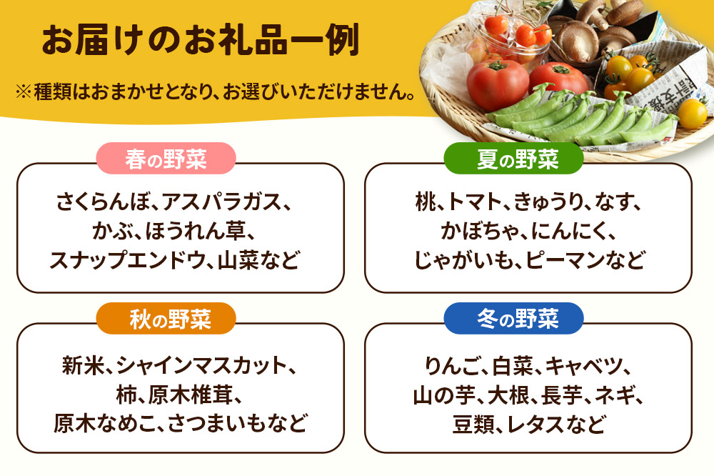 旬のお野菜セット 秋田県 由利本荘市産 栽培期間中農薬不使用 減農薬 [野菜 セット 季節野菜 旬野菜 お野菜 山菜 果物 栽培期間中 農薬不使用 春夏秋冬 秋田県 由利本荘市]